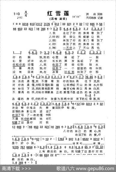 红雪莲 - 洪启|洪启
