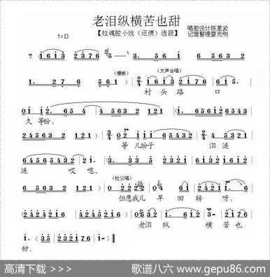 老泪纵横苦也甜（泗州戏（还债）选段） - 黄严|廖光明整理