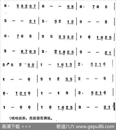 湖南民间乐曲选：一忠（七）|洪滔、贾古记谱