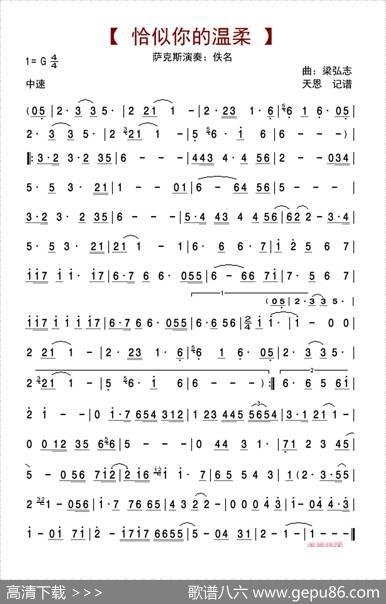 恰似你的温柔|梁弘志