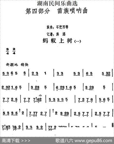 湖南民间乐曲选：蚂蚁上树（一）|洪滔记谱