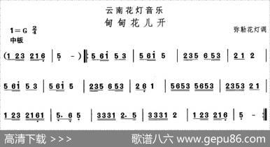 中国民族民间舞曲选（（六）云南花灯：甸甸花儿）
