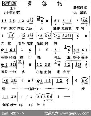 [越剧曲调]卖婆记|大风记录