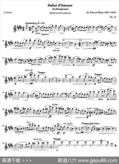 Salutd'AmourOp.12（爱的致意）|[英]艾尔加