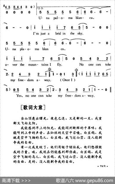 PalomaBlanca（白兰鸽）