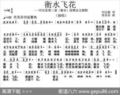 衡水飞花 - 刘志毅|张朱论