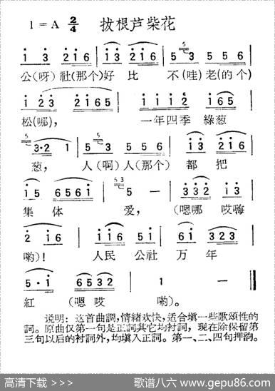 苏北小调：拔根芦柴花