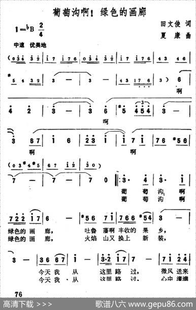 葡萄沟啊！绿色的画廊 - 田文俊|夏康