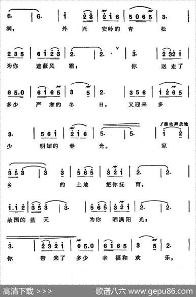 黑龙江畔的白玫瑰（歌剧《傲蕾·一兰》选曲） - 丁毅田川|王云之刘易民