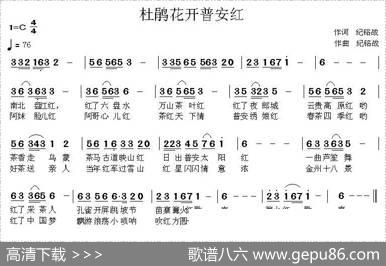 杜鹃花开普安红 - 纪铭战|纪铭战