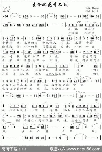 生命之花开不败 - 那永恒|南风