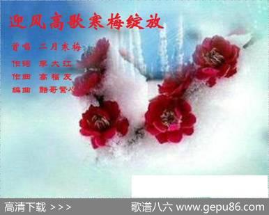 迎风高歌寒梅绽放 - 李大江|高福友，酷哥烦心