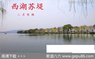 西湖苏堤 - 李大江|马啸