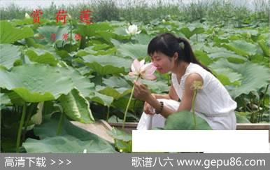 赏荷莲 - 李大江|罗小明