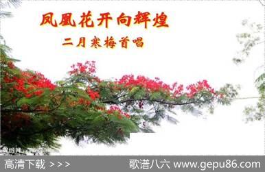 凤凰花开向辉煌 - 李大江|李昱
