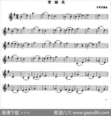 雪绒花|李贵武编曲