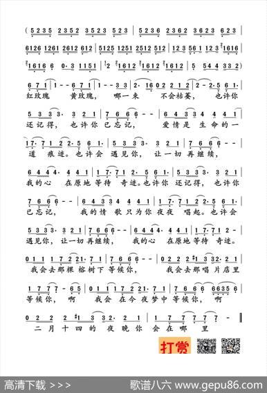 二月十四 - 猪猪|小毛