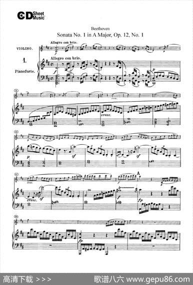 D大调第一小提琴奏鸣曲（SonataNo.1inDMajorOp.12,No.1）（小提琴+钢琴伴奏）|Beethoven（​贝多芬）