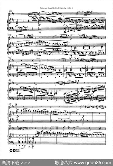 D大调第一小提琴奏鸣曲（SonataNo.1inDMajorOp.12,No.1）（小提琴+钢琴伴奏）|Beethoven（​贝多芬）