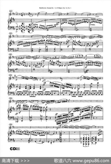 D大调第一小提琴奏鸣曲（SonataNo.1inDMajorOp.12,No.1）（小提琴+钢琴伴奏）|Beethoven（​贝多芬）