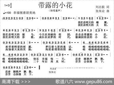 带露的小花 - 刘志毅|张朱论
