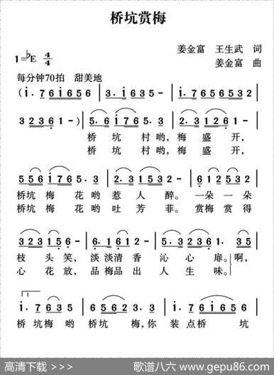 桥坑赏梅 - 姜金富王生武|姜金富