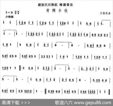 中国民族民间舞曲选（七)藏族舞蹈：堆谐-青稞丰）|王俊武