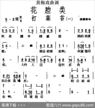 [黄梅戏曲调]花腔类：打菜苔（3首）