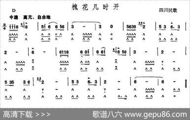 槐花几时开