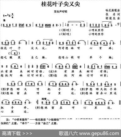 桂花叶子尖又尖 - 佚名|胡俊先