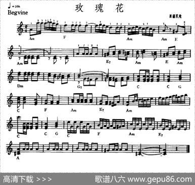 玫瑰花|新疆民歌