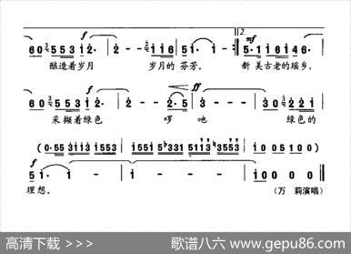 云雾中的塔山茶 - 陈坤山封志良|王钢