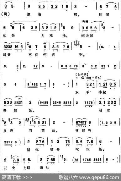 [芗剧曲调]愁对菱花眼流泪（选自《血手印》王金鸾唱腔）|苏四杰记谱陈松民校订