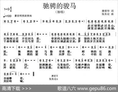 驰骋的骏马 - 唐前华|张朱论