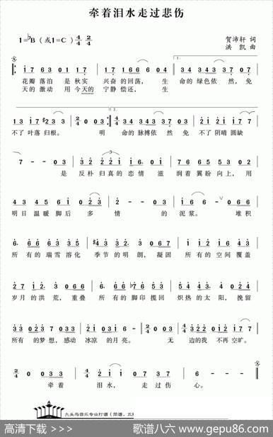 牵着泪水走过悲伤 - 贺沛轩|洪凯