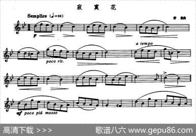 寂寞花|[德]舒曼