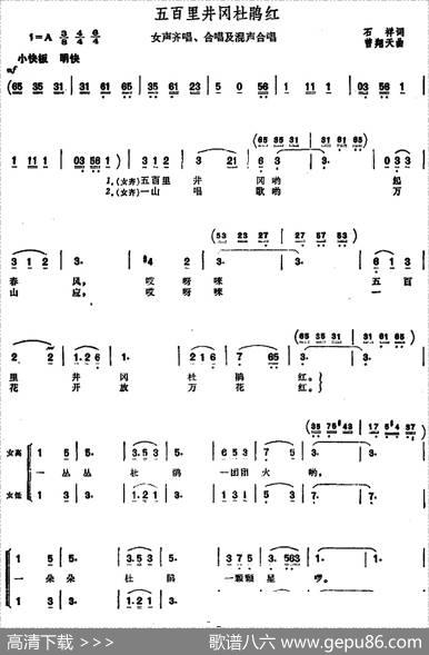 五百里井冈杜鹃红 - 石祥|曾翔天