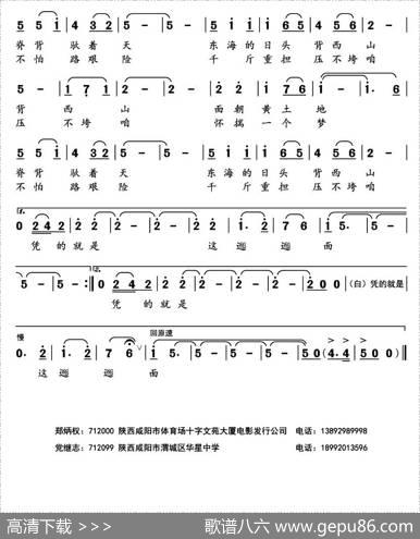biangbiang面 - 郑炳权|党继志左锋