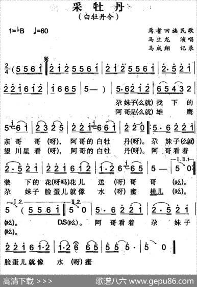 采牡丹（焉耆回族民歌）|马成翔记录