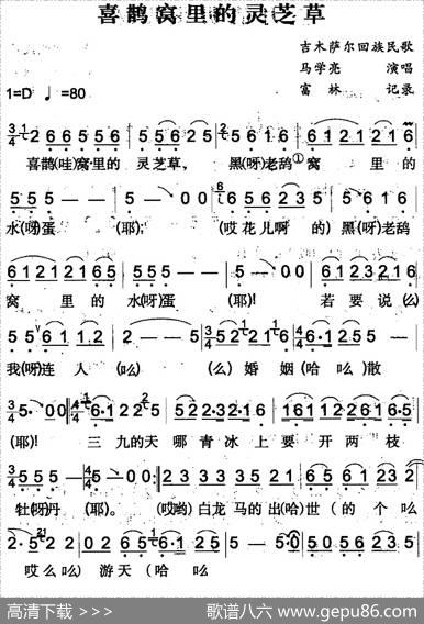 喜鹊窝里的灵芝草（吉木萨尔回族民歌）|富林记录