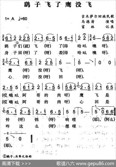 鹞子飞了鹰没飞（吉木萨尔回族民歌）|富林记录