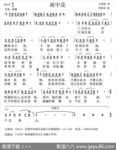 雨中花（王旭恒词党继志曲） - 王旭恒|党继志