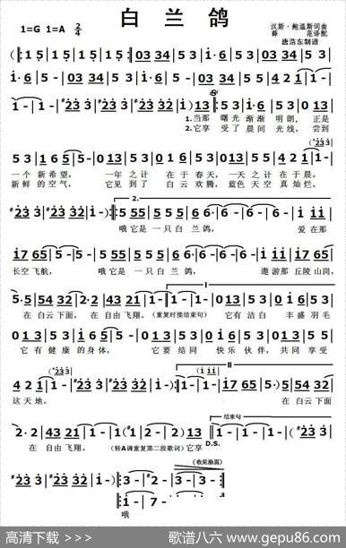 白兰鸽 - 汉斯·鲍温斯|汉斯·鲍温斯