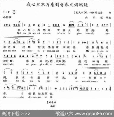 [意]我心里不再感到青春火焰燃烧（中外文对照版）
