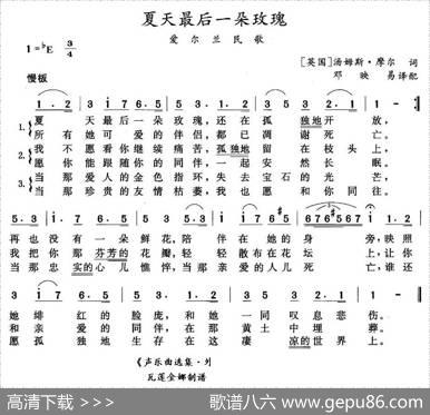 夏天里最后一朵玫瑰（爱尔兰）