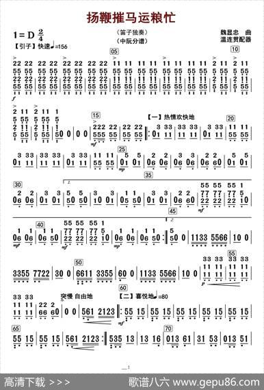 扬鞭摧马运粮忙（中阮分谱）|魏显忠