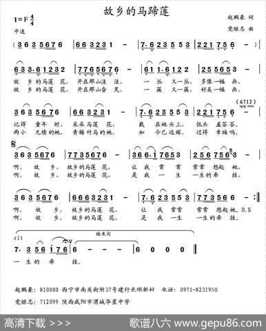 故乡的马蹄莲 - 赵鹏豪|党继志