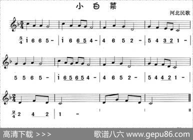 小白菜（八孔竖笛线简谱对照版）