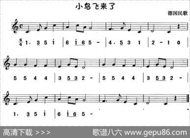 小鸟飞来了（八孔竖笛线简谱对照版）