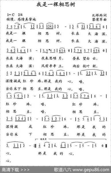 我是一棵相思树 - 孔祥雨|黎荣军